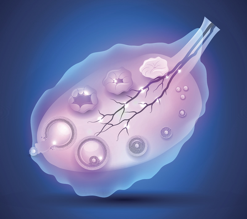 西安试管第三代哪个医院好